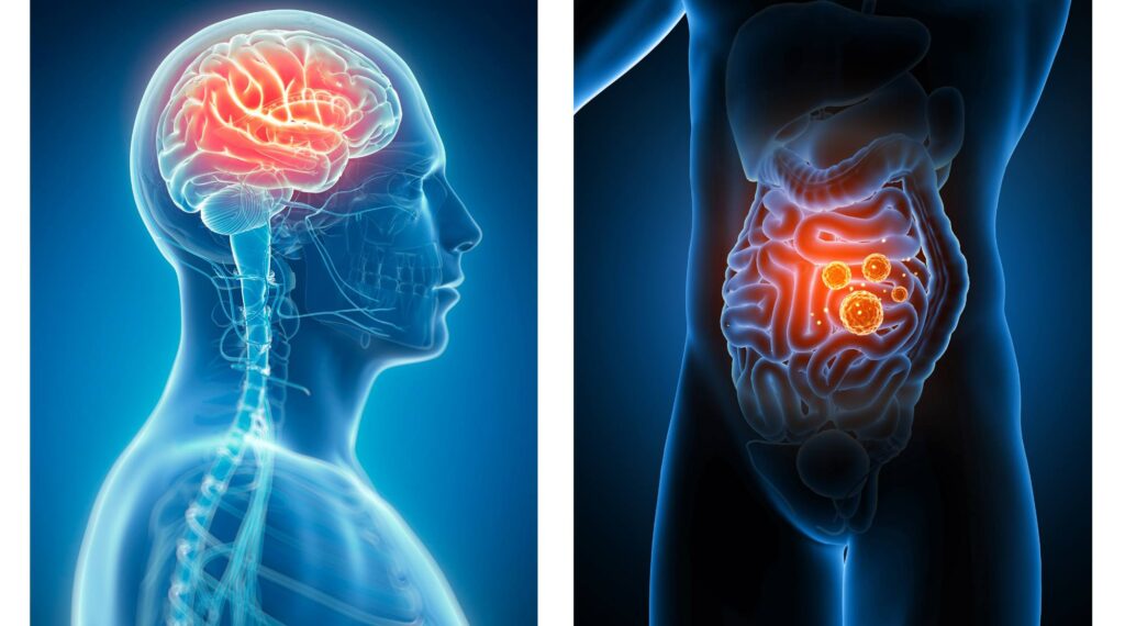 eje intestino cerebro -mejorar la digestión